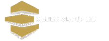 meliemgroup.site